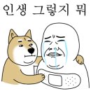 이든소아청소년과의원 이미지