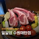 [영통 맛집] 분위기 좋고 육즙 가득한 양고기 전문점, '일일양 매탄점' 솔직 후기