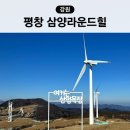 강원도 평창 삼양라운드힐 대관령 삼양목장 양떼목장 눈 겨울 여행지