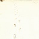 청사4길 이미지