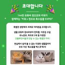 정브로