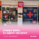 대연시장 동물약국 이미지