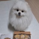 감자 밭 원조 감자빵 주문 후기 야식 안주 추천 내돈내산