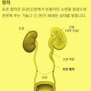 순천향대학교부속부천병원 이미지