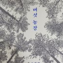 선배농장 | 버섯 농장