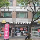 리얼펫강아지고양이분양