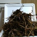 숲속정원 이미지