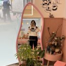 까페움 이미지