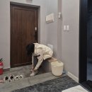 스테이한돌 이미지