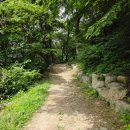 대운산자연휴양림(양산) 이미지