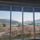 버블버블셀프워시카 이미지