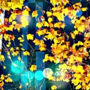 휠링 - 연수구 | 휠링