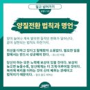 용인당구아카데미 이미지
