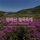 합천군청 | [합천]5월 꽃구경 가볼만한 곳 황매산 철쭉축제/핫들생태공원 작약