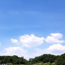 상지말저수지 이미지