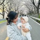 황산 | 양산황산공원벚꽃 아기랑 다녀온 후기