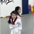 고려태권도 이미지