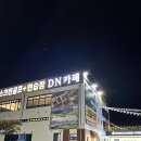 부산 돌아기랑 가기 좋은 카페 추천 강서구 디엔카페