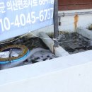 꽃게와낙지 이미지