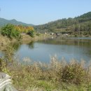 수죽리 우남지 Daum카페