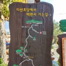율포여객 | 남파랑길83코스( 구 목리교서쪽~도암농협앞,18.0km/5시간 30분. 보통)