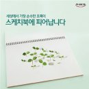 자연사랑 Daum카페