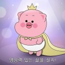 뚠뚜니네 이미지