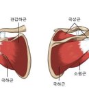 해피짐휘트니스 이미지