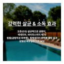 묘리깡 이미지
