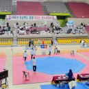 지성체육관(태권도) 이미지