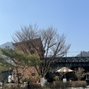 카페젤코바 | 양평 베이커리 카페 양평 대형 카페 용문산 카페 젤코바 테라스 카페 추천