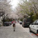 봉의산가는길 이미지