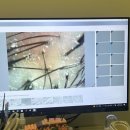 WT-메소드 - 서초구 방배동 | 주안두피관리 만족도 높았던 WT메소드 주안점 관리 후기