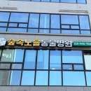숲속노을 동물병원 네이버블로그