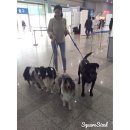 아지원 이미지