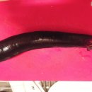 가파마을영농조합법인 이미지