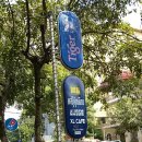 다모아 피자 이미지