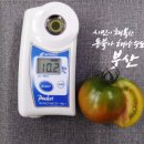 박태원농장 이미지