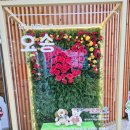 태권도 오송 정도장 이미지