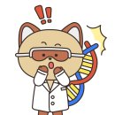 디모로 이미지