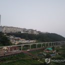 블루라인 이미지