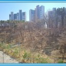 파주금강부동산공인중개사사무소 이미지