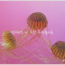 형민농장 | 잊지마요 내 사랑 서피플서프