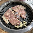 왕조가든 이미지