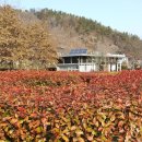 입곡문화공원 이미지