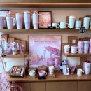 블라썸 캣 | 2026 스타벅스 봄신상 체리블라썸 md 총정리 가격 실물후기