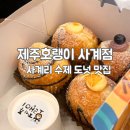 카카오 이미지