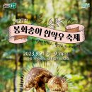 봉화송이축제 네이버블로그