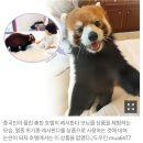 샘밀 컴퍼니