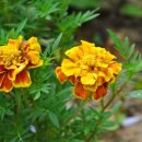 영모암(永慕菴) 이미지